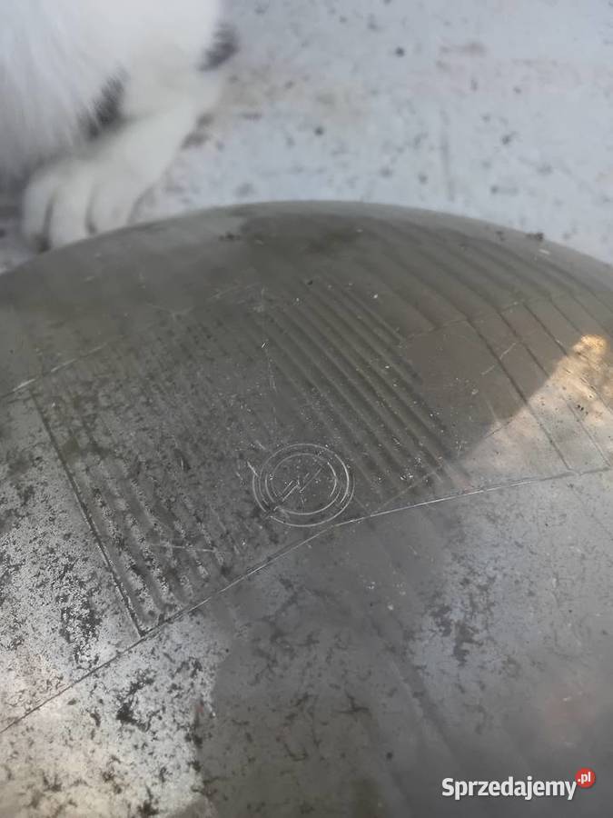 Zelmot klosz lampa Milejewo