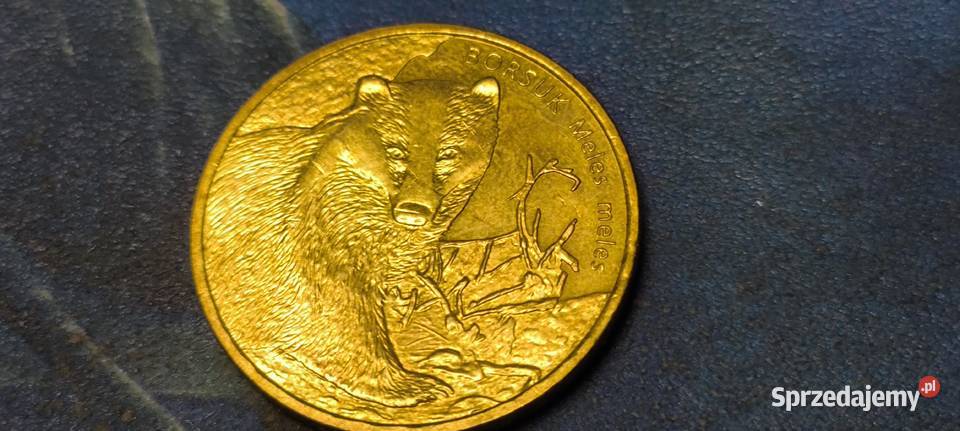 Moneta 2 Borsuk 2011 Gliwice