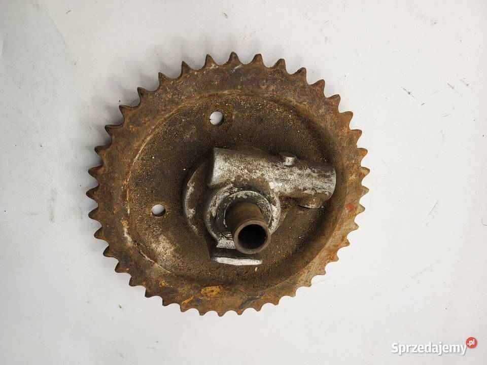 ZĘBATKA TYŁ SLIMAP KAPĘD TRIUMPH śląskie Rybnik