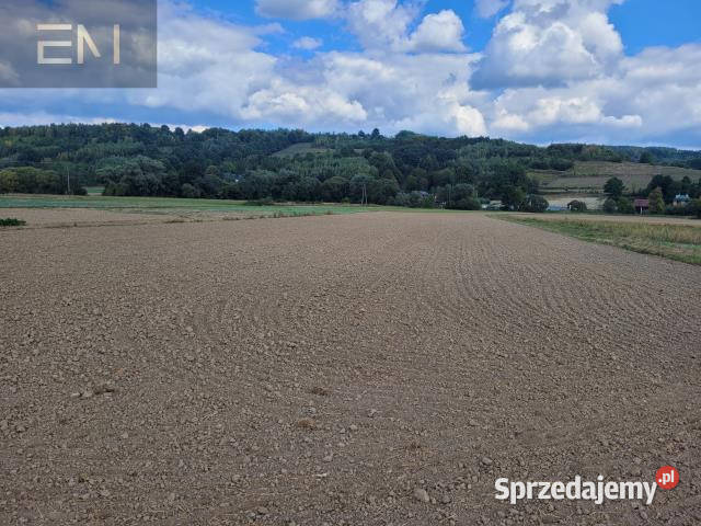 sprzedaży działki Godowa 6159m2 6159m2