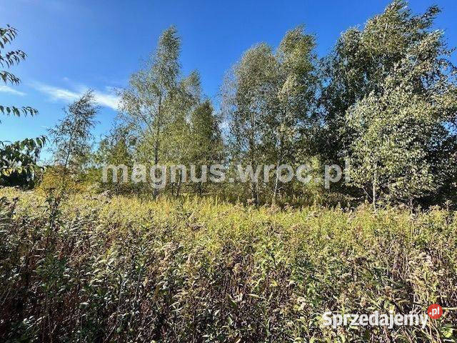 Duża działka na leśnym osiedlu w Miłoszycach Miłoszyce