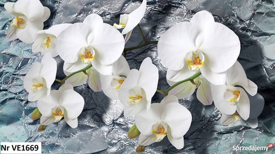Tapeta fototapeta Storczyki 3D 3 wzory Leszno