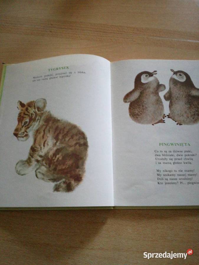 Zwierzątka twarda Lublin