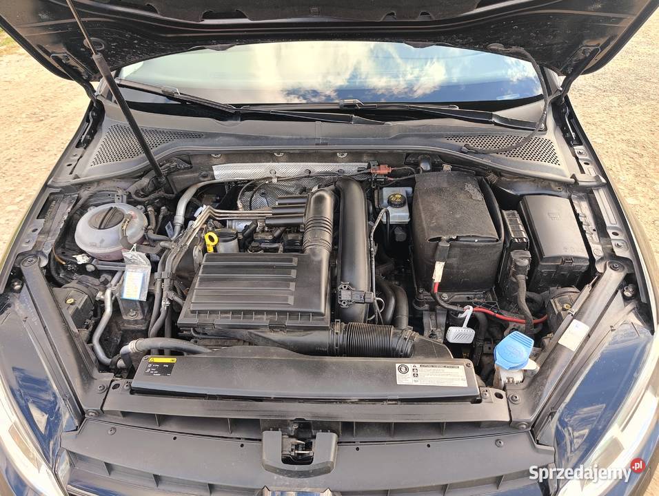 Volkswagen Golf VII 14 tfsi 122 Wałbrzych