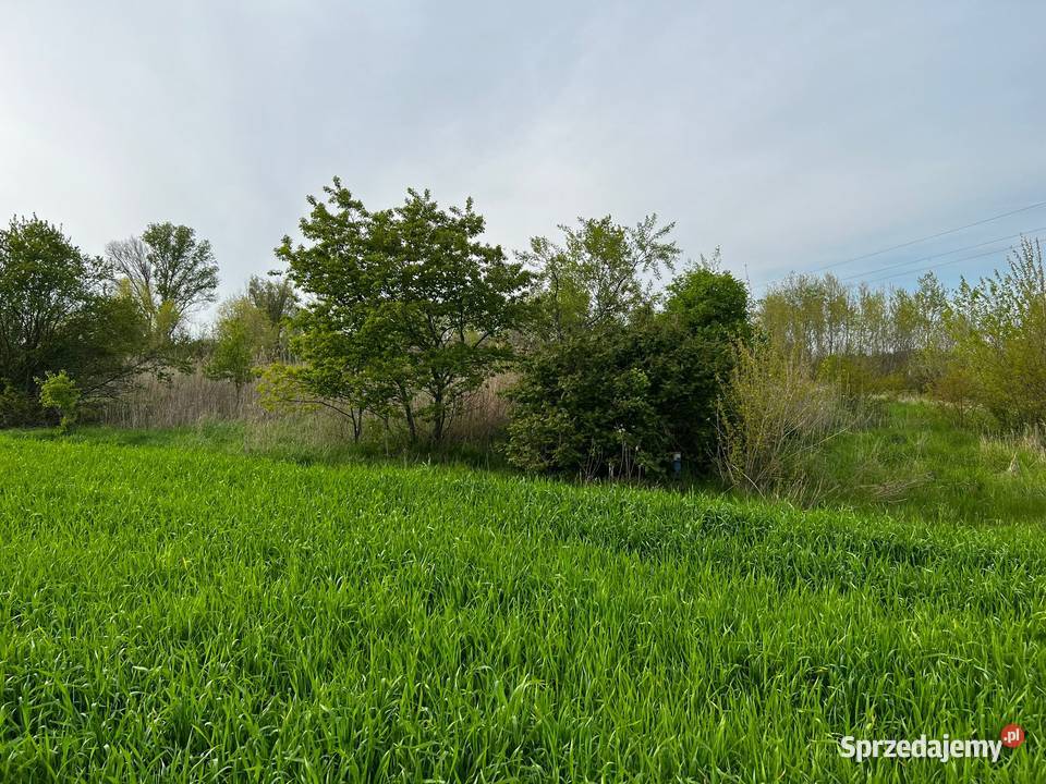 Działka drodze asfaltowej
