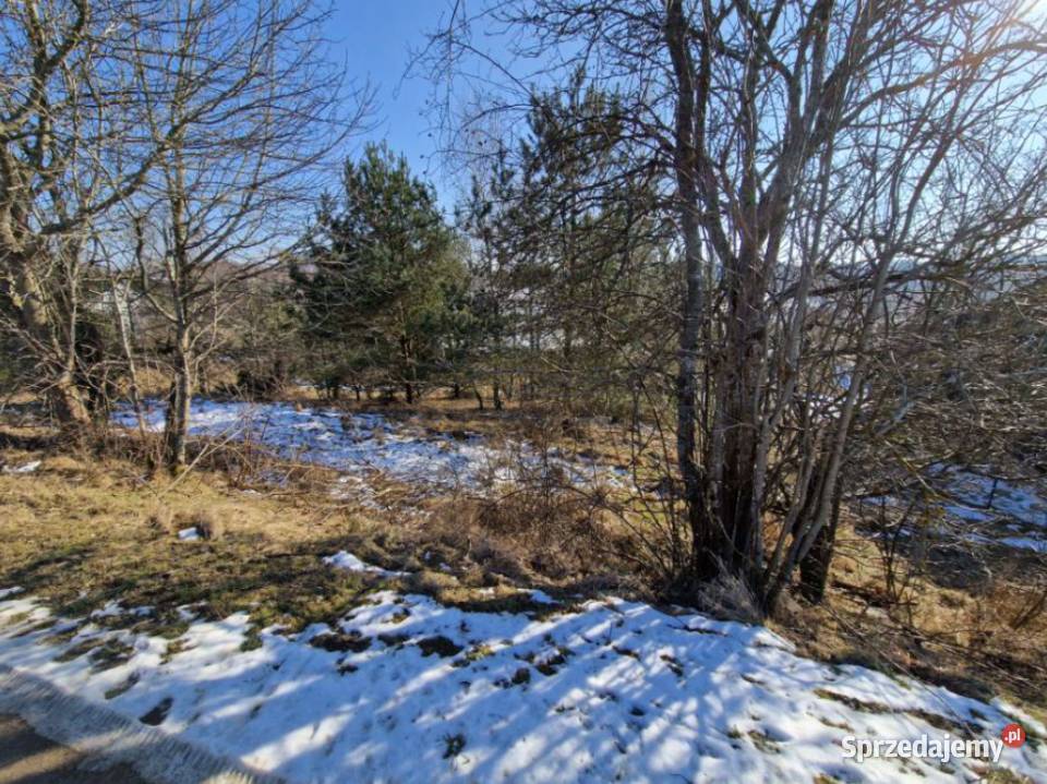 Syndyk sprzeda nieruchomość niezabudowaną Sikorzyno