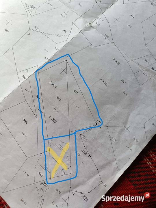 Sprzedam Las działkę 12ha Sidzina