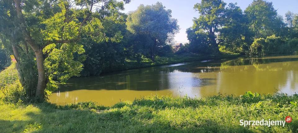 Siedlisko Dom 90 m 65 ar budynki gospodarcze 3 Hrebenne
