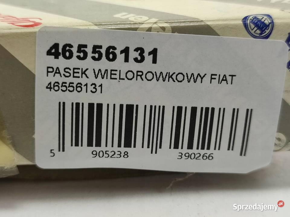 PASEK WIELOROWKOWY ALFA ROMEO 145 19 JTD 9901