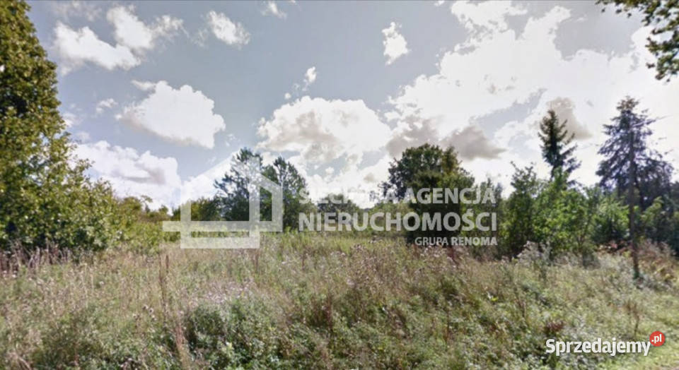Grunt Bychowo 3000m2 3000m2 Sprzedaż