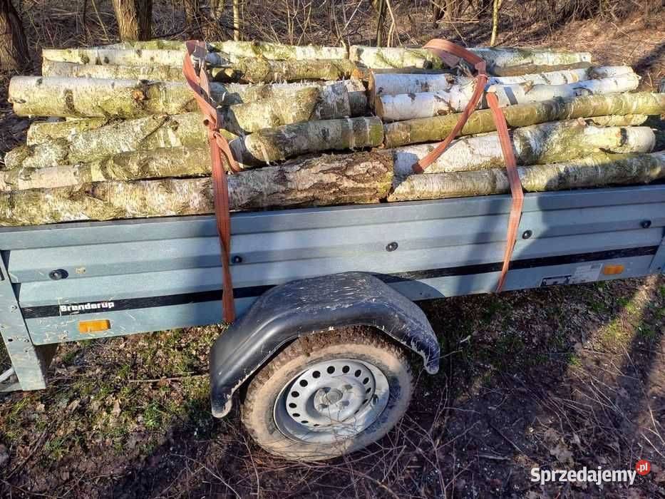 Drewno opałowe kominkowe jawor brzoza sprzedam