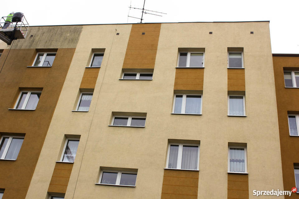 MALOWANIE DACHÓW DACHU TYCHY KATOWICE SOSNOWEC usługa dla zwierząt