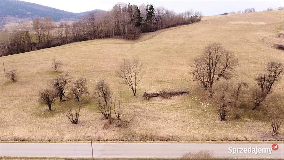 85ha koło Ustrzyk Dolnych 11 działek 8000ar 85000m2 Ustrzyki Dolne