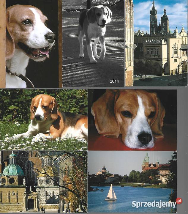Kalendarzyki listkowe Kraków Puławy sprzedam