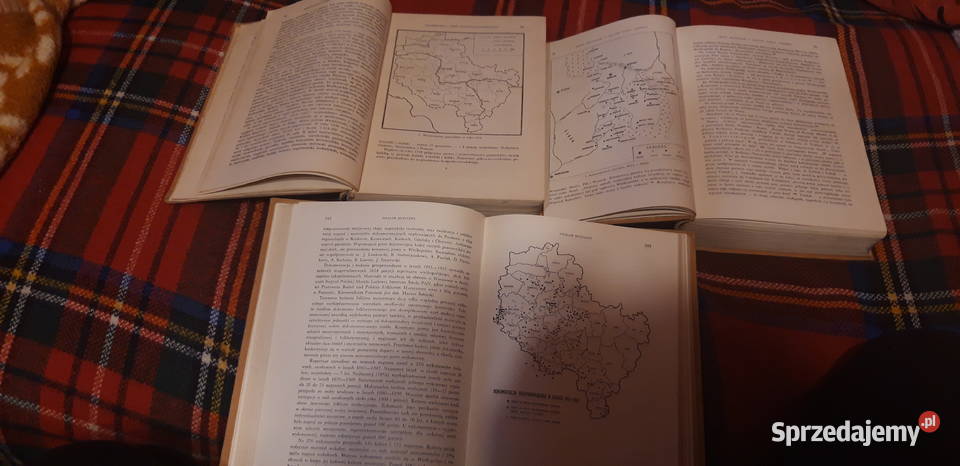 Kultura Ludowa Wielkopolskit13 Pń 1960 całość Iwno sprzedam