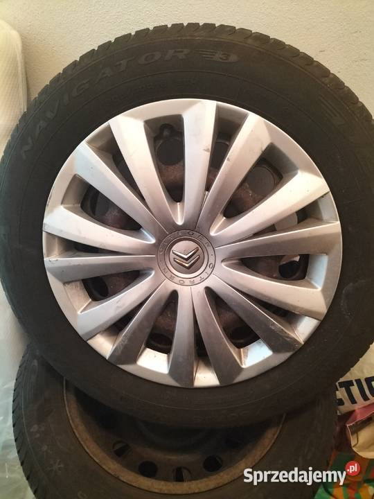 Passat b5FL