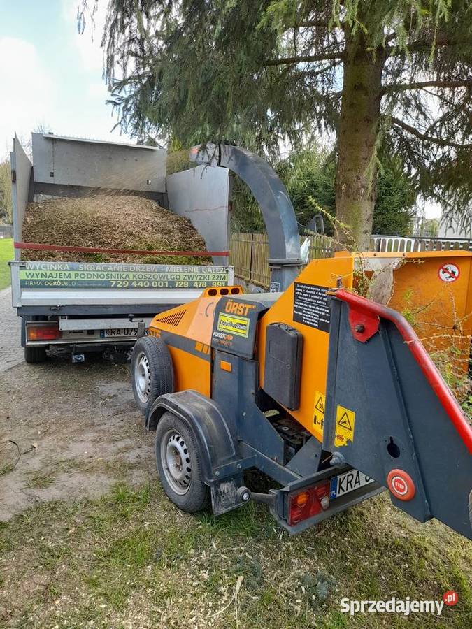 Usuwanie starych niebezpiecznych drzew rębak Skawina