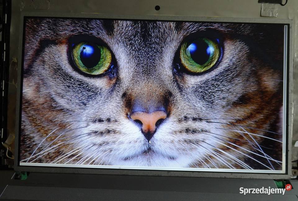 Matryca do laptopa LG LP156WH4 TLC1 Podzespoły bazowe Szczecin sprzedam