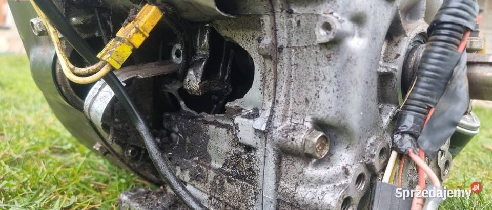 Silnik briggsstratton vtwin dwucylindrowy wielkopolskie Kuźnia