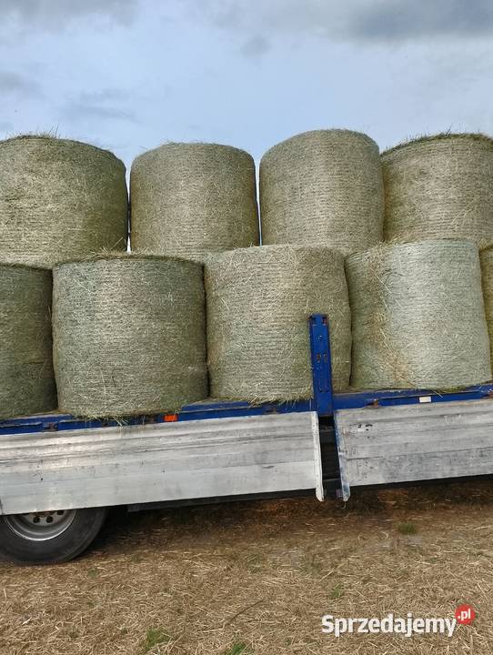 Sprzedam belę siana Odrzywół