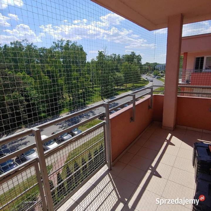Montaż siatki balkonowej przeciw gołębiom i kota Dla zwierząt Łódź