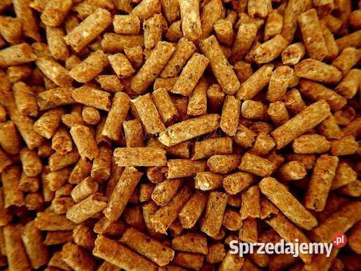 Pellet ENplus A1 certyfikat hurt 100 sosna bez Warszawa