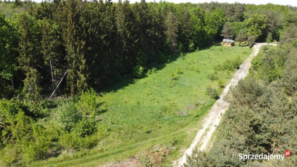 DziałkaWytycznoJezioro Wytyckie 45 arów Wytyczno