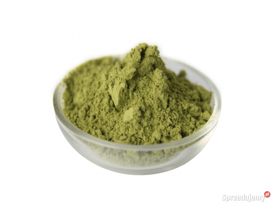 BIO Herbata Matcha proszek 100G podkarpackie Brzozów