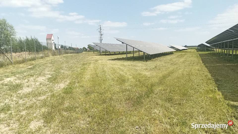 Koszenie zieleni Mycie Farm Fotowoltaicznych Warszawa