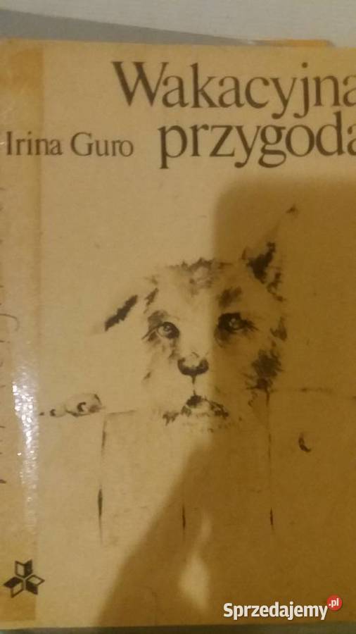 Wakacyjna przygoda Guro książki dziecięce Warszawa