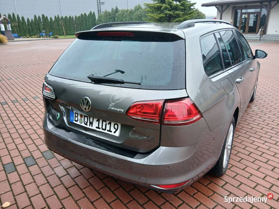 VW Golf 7 CUP wersja z Niemiec Golf Kajew