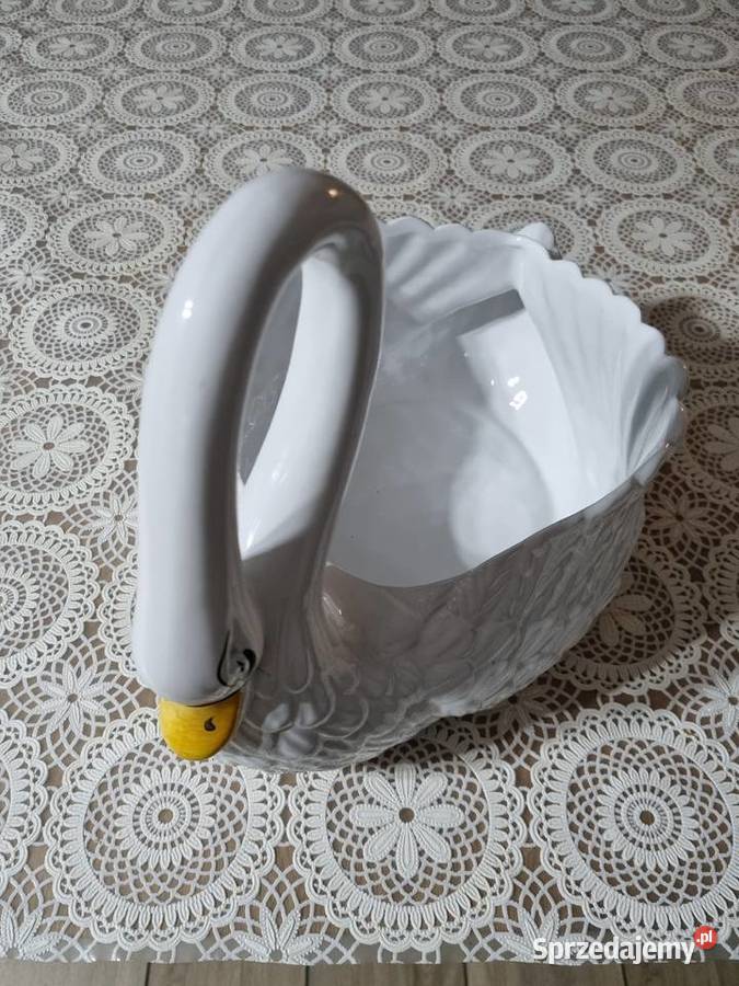 Wielki łabędź osłonka Wola Podłężna sprzedam