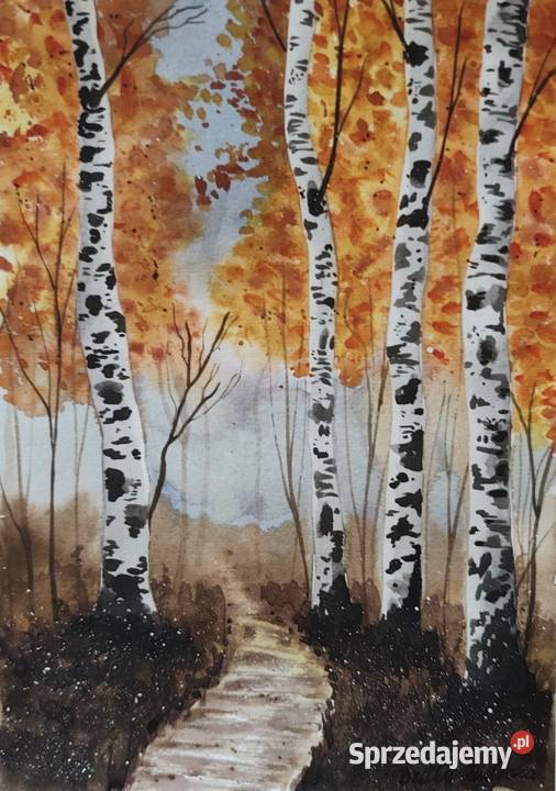 Akwarela Akwarelka Obraz pt Brzozy 073 śląskie