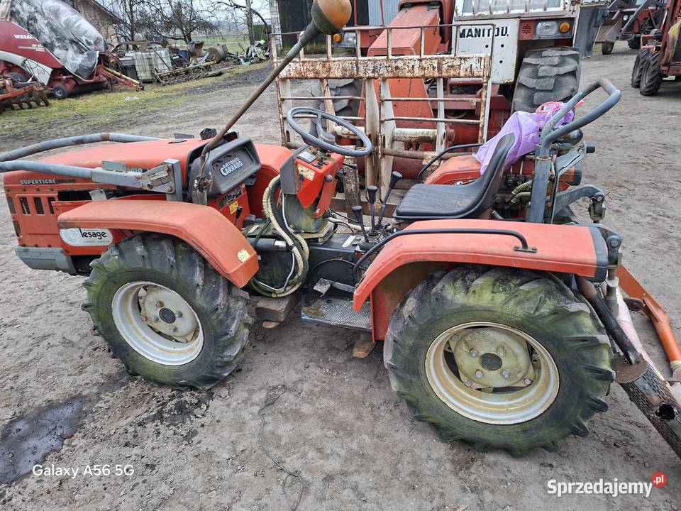 Ciagniczek Antonio Carraro wielkopolskie Września