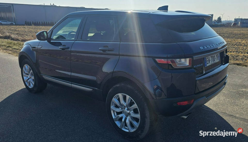 Land Rover Range Rover Evoque 97000 I 20112018 Samochody osobowe Pleszew