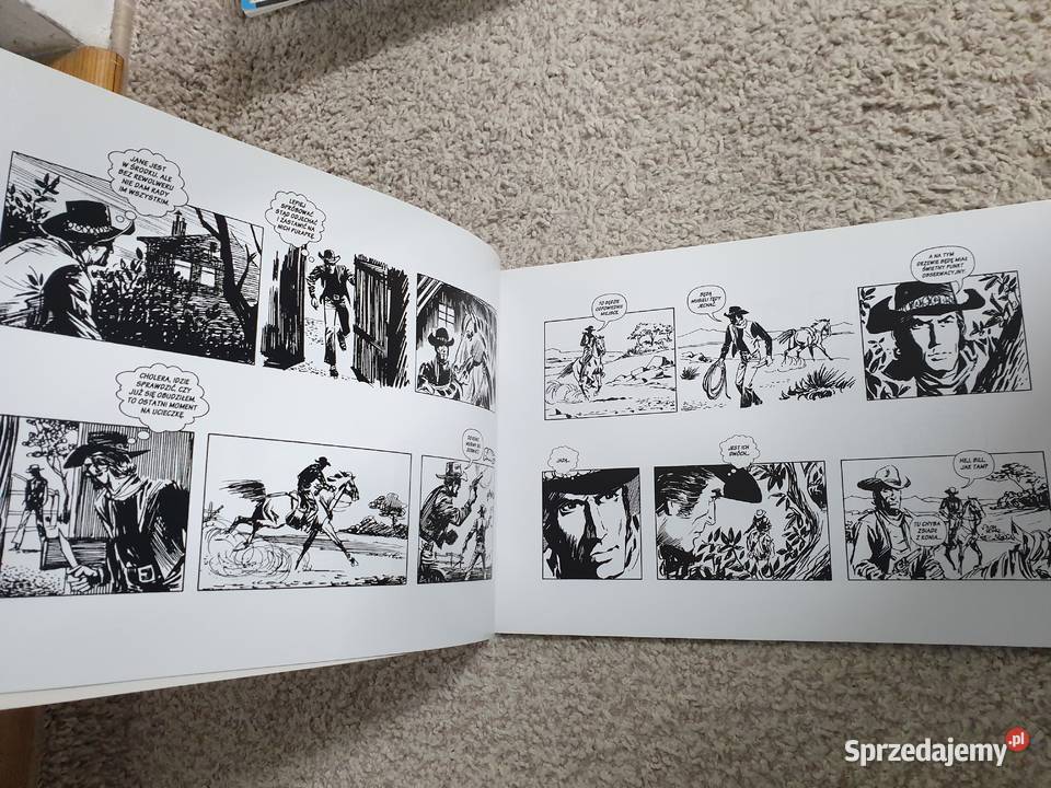 Powrót Baxtera Z Archiwum Jerzego Wróblewskiego Rok wydania 2017 Gdynia