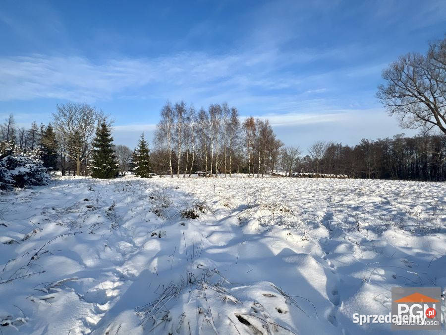 Działka 2134m2 Ładzin 2134m2
