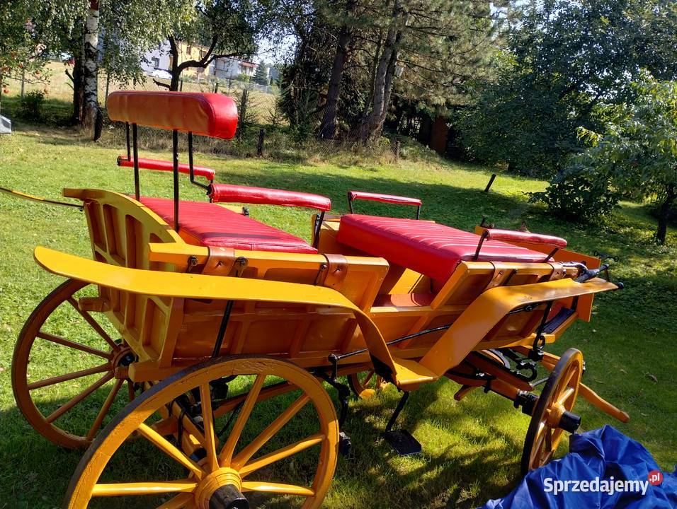 Piękny powóz wagonetka bryczka Janowice sprzedam