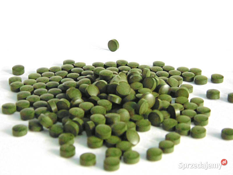 Chlorella 250mg 400 tabletek 100g Brzozów