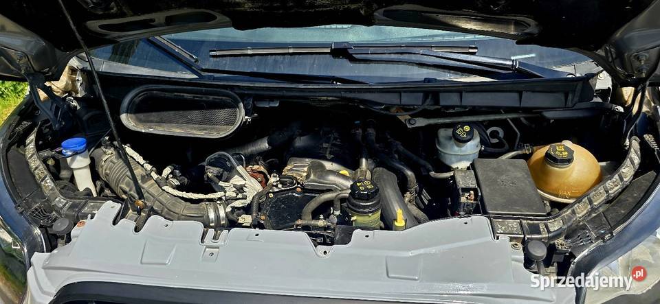 Ford Transit MK8 L3H3 Solec nad Wisłą sprzedam