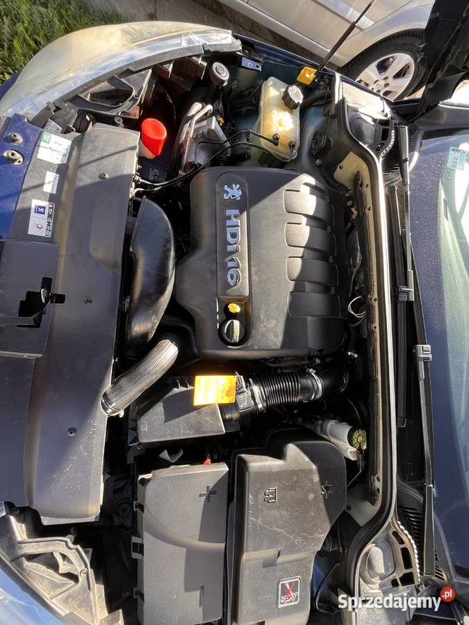 Peugeot 407 lubuskie Sulechów sprzedam
