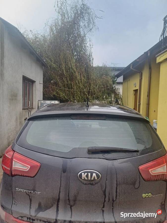 Kia Sportage Kolonia Bodzanowska