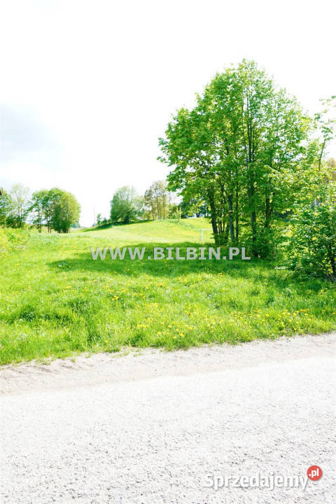 Grunt do sprzedania Supienie 3932m2 28zł/m2