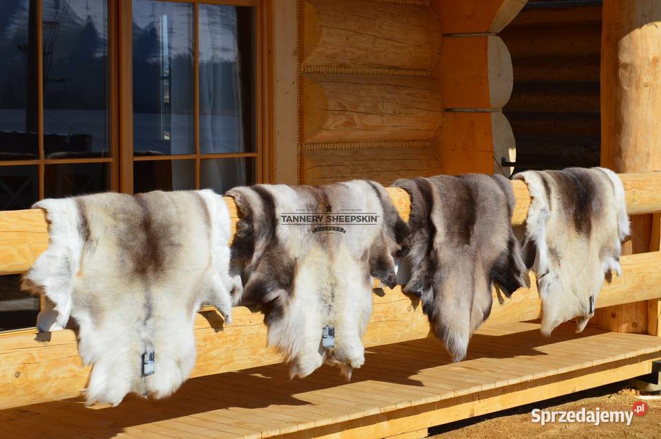 Renifer Skandynawski Naturalna Dekoracyjna Skóra małopolskie Szaflary