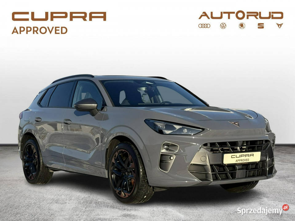 Cupra Terramar VZ 20TSI 265 DSG 4X4 2024 system Start-Stop Samochody osobowe Kielce
