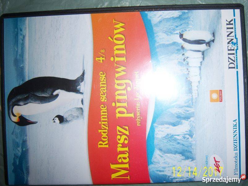 Marsz pingwinów Filmy Kielce