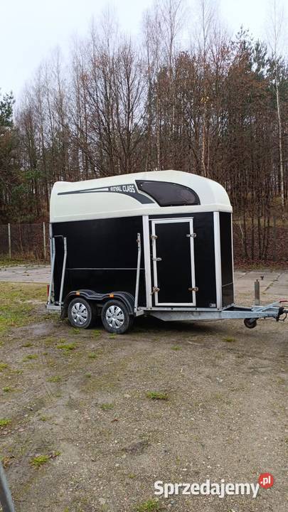 Przyczepa do przewozu koni zwierząt Atec wynajem