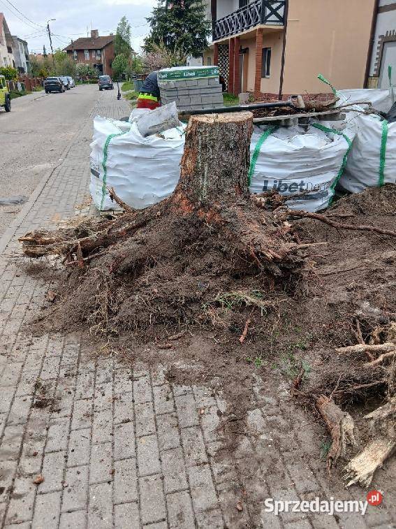 Usługi minikoparką i wozidłem Elbląg