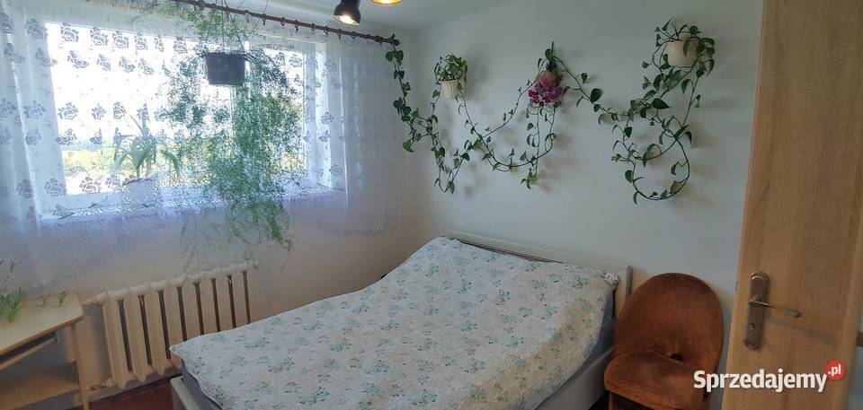 Mieszkanie na sprzedaż Kusice 3 pokoje z