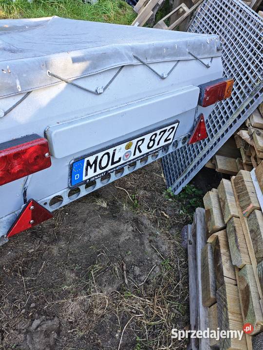 Solidna przyczepka DMC 350 z dokumentami wielkopolskie